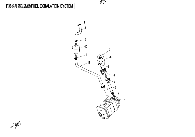 Diagrama de FUEL EVAPORATION SYSTEM