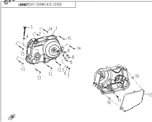 Diagrama de RIGHT CRANKCASE COVER