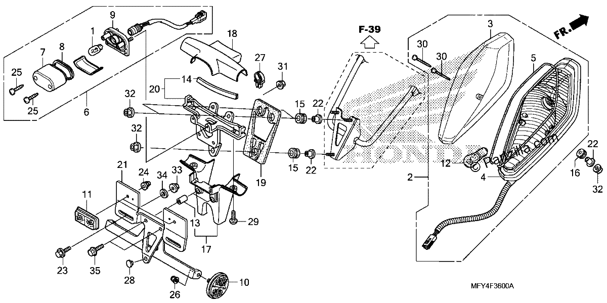 Diagrama de TAILLIGHT LICENSE LIGHT 1