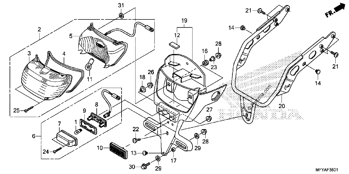 Diagrama de TAILLIGHT LICENSE LIGHT 2