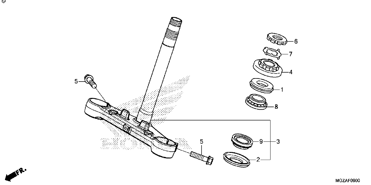 Diagrama de STEERING STEM