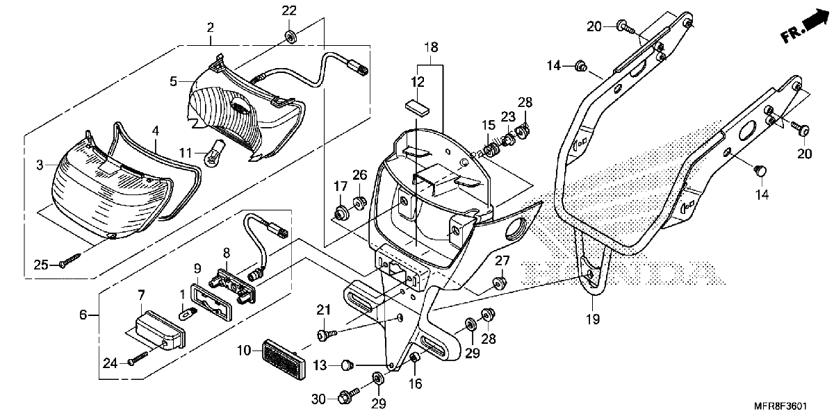 Diagrama de TAILLIGHT LICENSE LIGHT 2