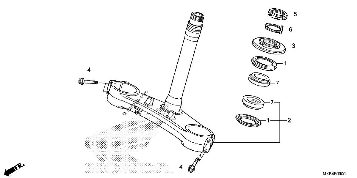 Diagrama de STEERING STEM