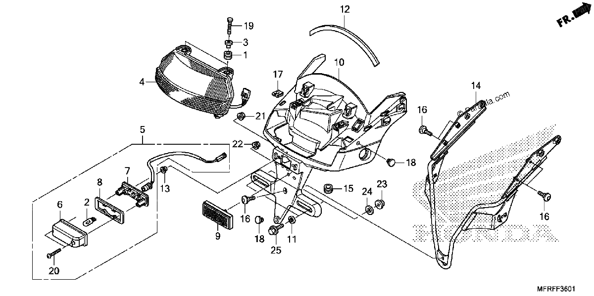 Diagrama de TAILLIGHT LICENSE LIGHT 2