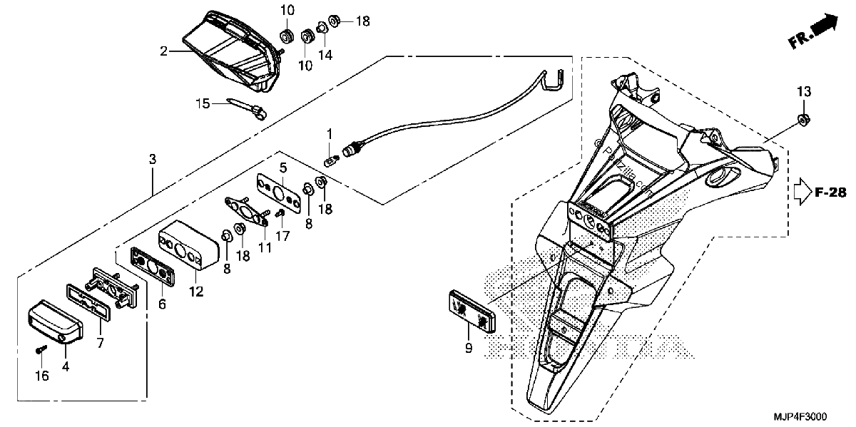Diagrama de TAILLIGHT LICENSE LIGHT