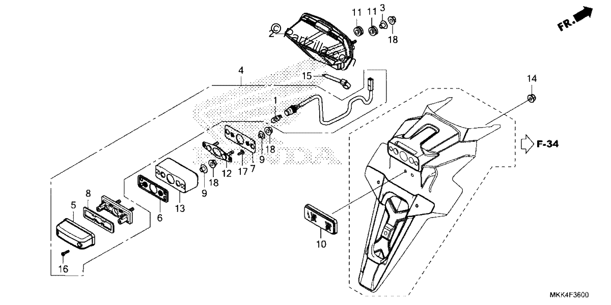 Diagrama de TAILLIGHT LICENSE LIGHT