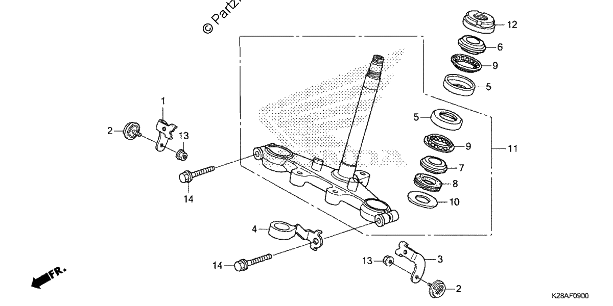 Diagrama de STEERING STEM