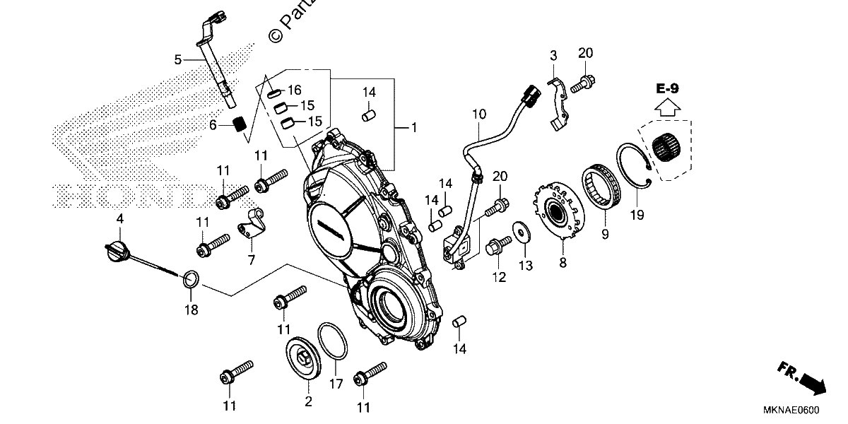 Diagrama de RIGHT CRANKCASE COVER