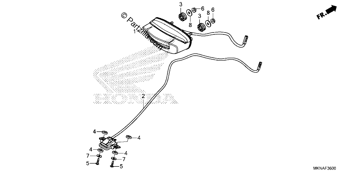 Diagrama de TAILLIGHT LICENSE LIGHT