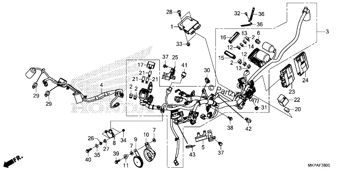 Diagrama de WIRE HARNESS