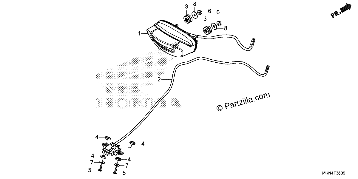 Diagrama de TAILLIGHT LICENSE LIGHT