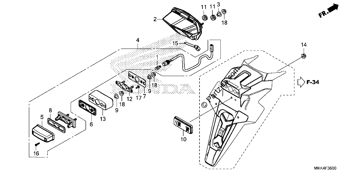 Diagrama de TAILLIGHT LICENSE LIGHT