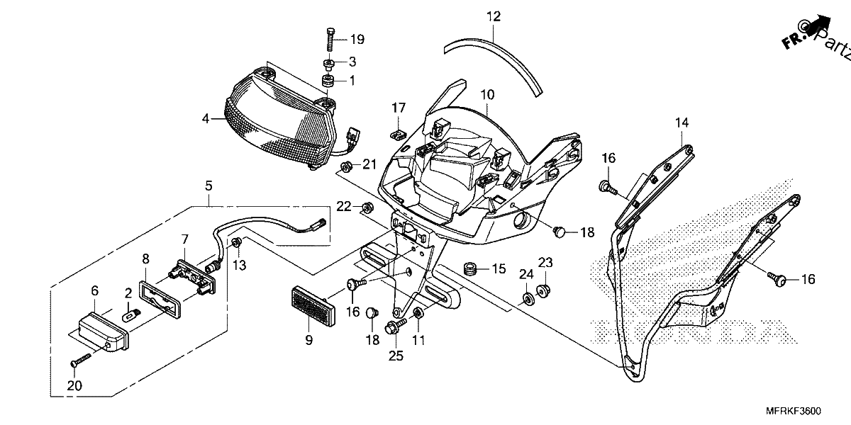 Diagrama de TAILLIGHT LICENSE LIGHT