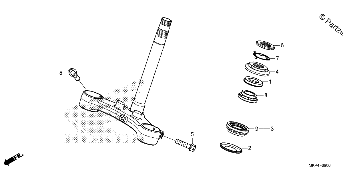 Diagrama de STEERING STEM 1