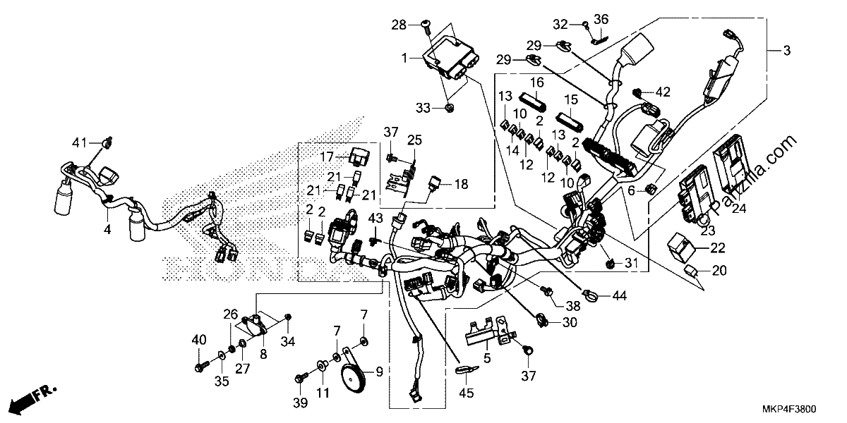 Diagrama de WIRE HARNESS