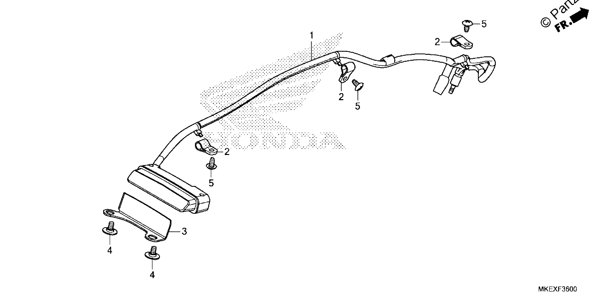 Diagrama de TAILLIGHT