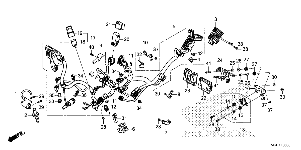 Diagrama de WIRE HARNESS