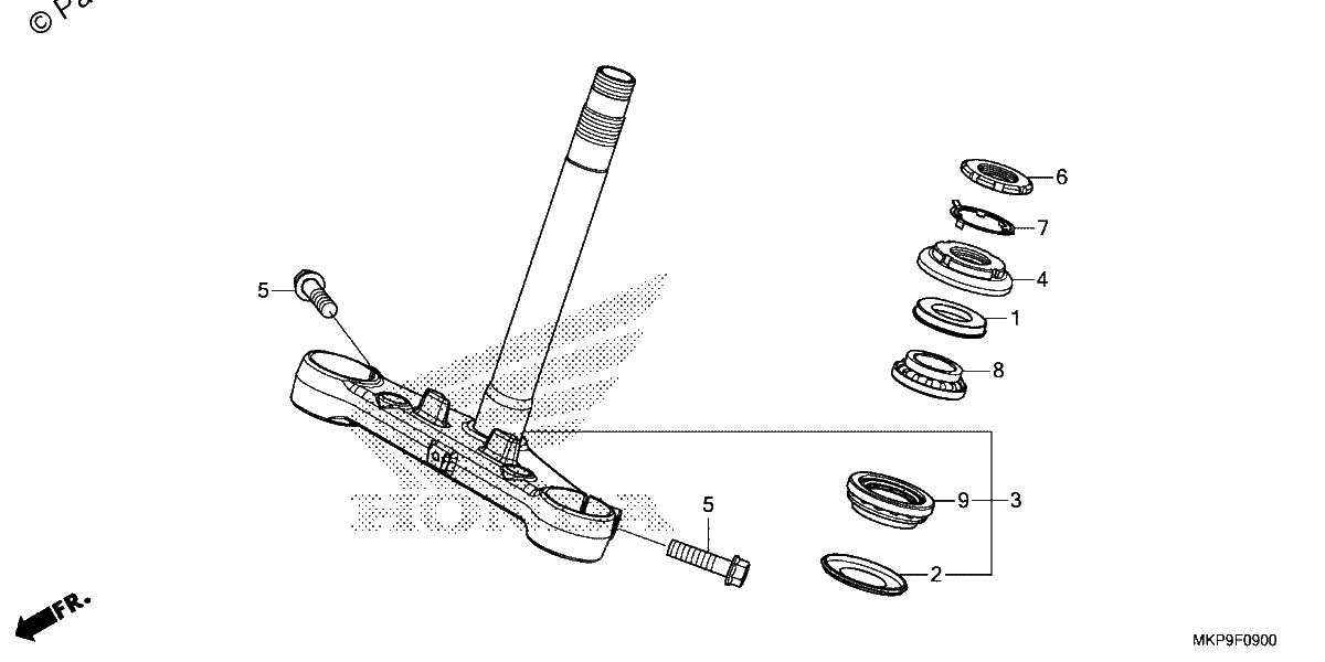 Diagrama de STEERING STEM 1