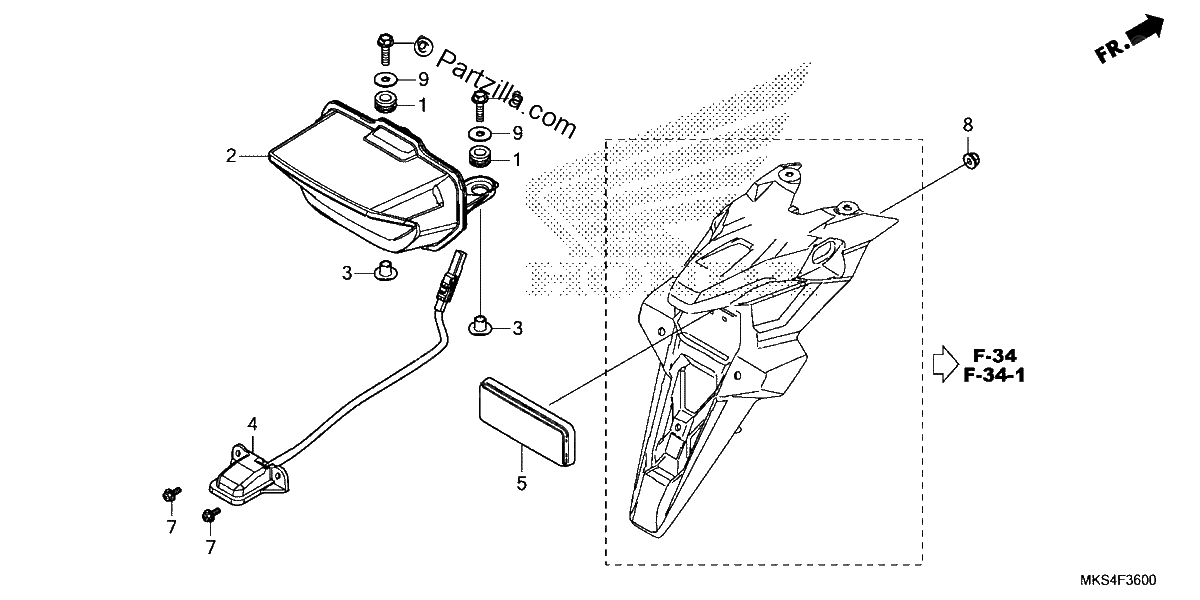 Diagrama de TAILLIGHT LICENSE LIGHT