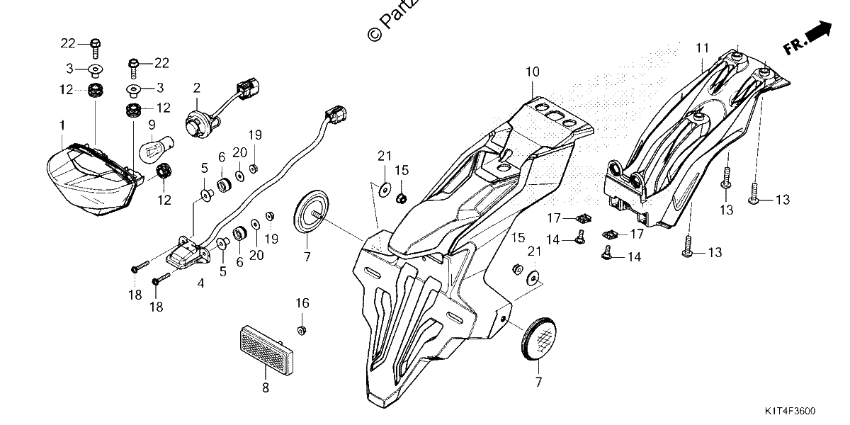 Diagrama de TAILLIGHT LICENSE LIGHT