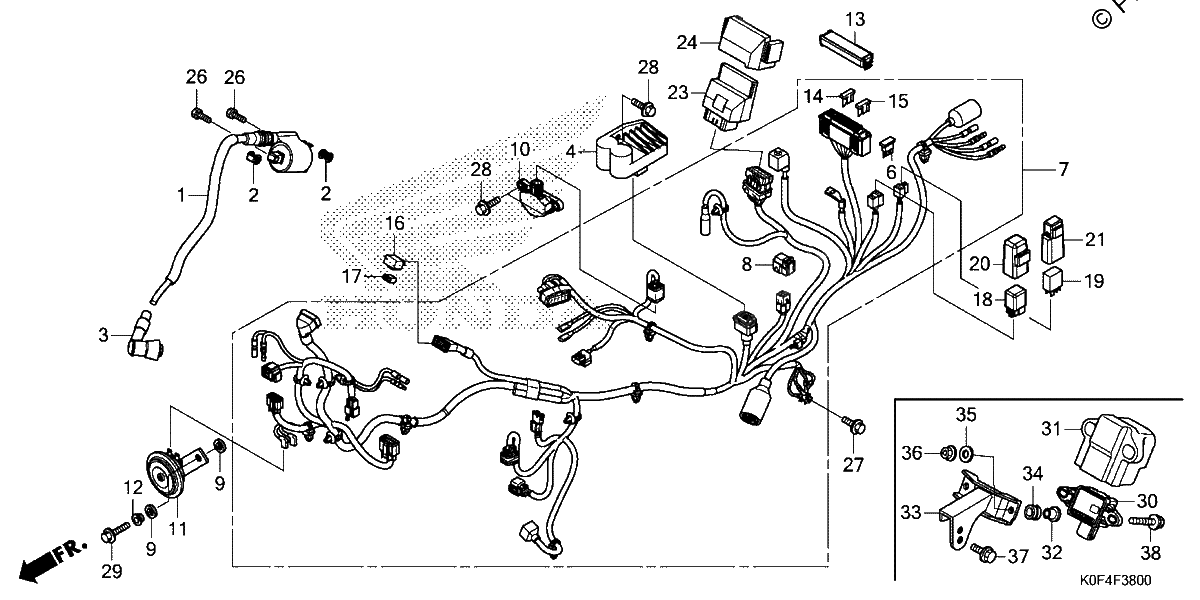 Diagrama de WIRE HARNESS