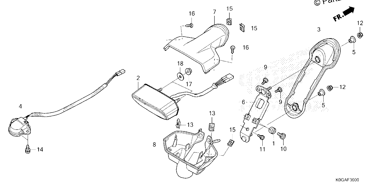Diagrama de TAILLIGHT LICENSE LIGHT