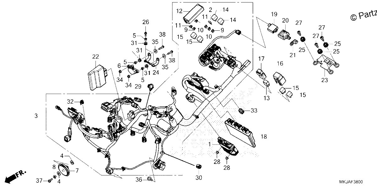 Diagrama de WIRE HARNESS