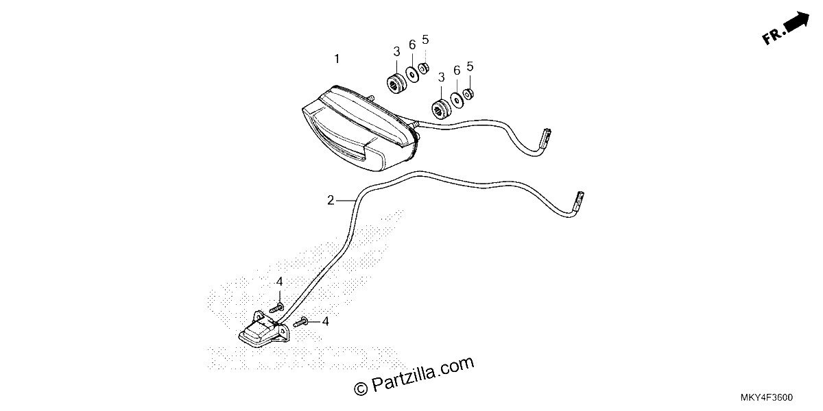Diagrama de TAILLIGHT LICENSE LIGHT