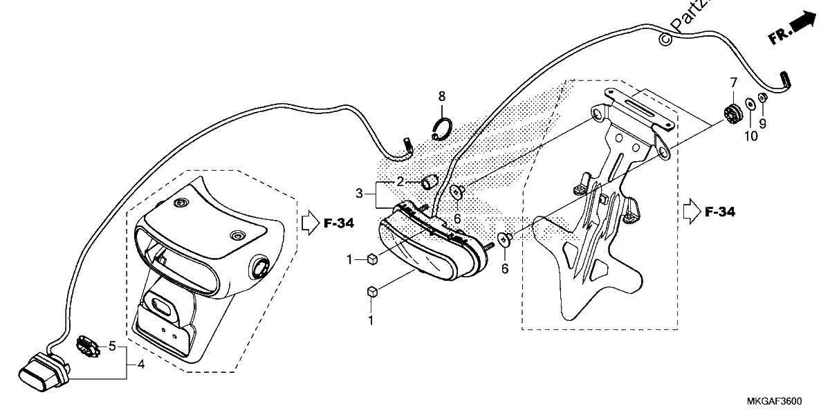 Diagrama de TAILLIGHT LICENSE LIGHT