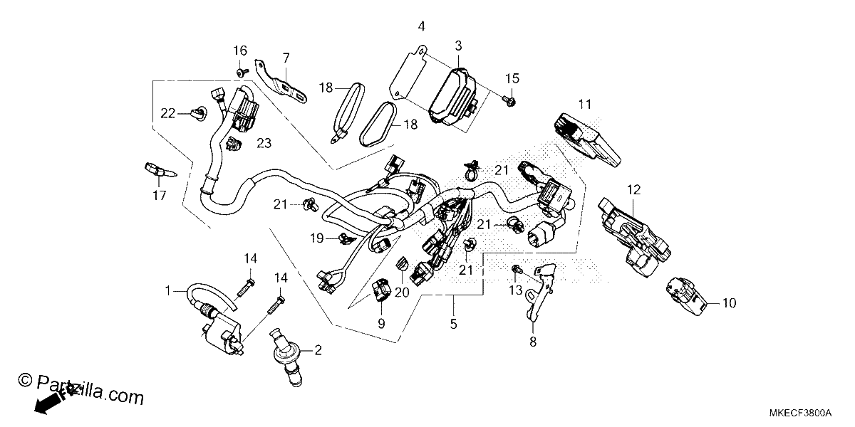 Diagrama de WIRE HARNESS
