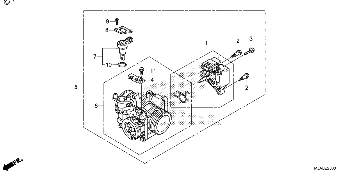 Diagrama de THROTTLE BODY