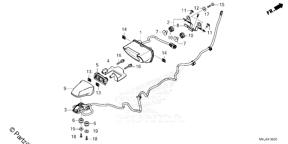 Diagrama de TAILLIGHT LICENSE LIGHT