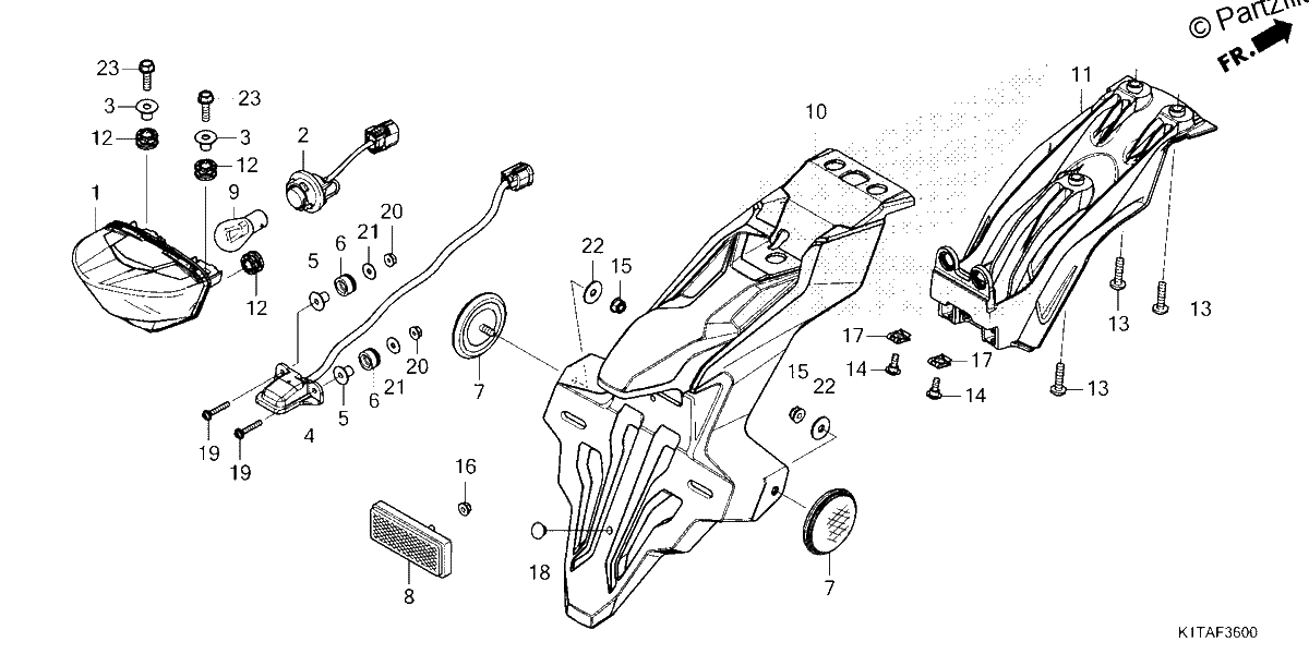 Diagrama de TAILLIGHT LICENSE LIGHT