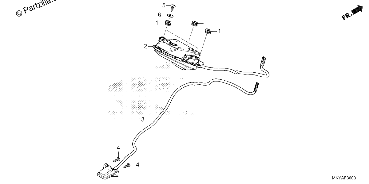 Diagrama de TAILLIGHT LICENSE LIGHT