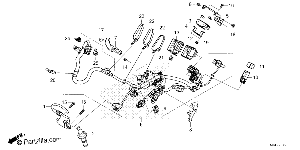 Diagrama de WIRE HARNESS