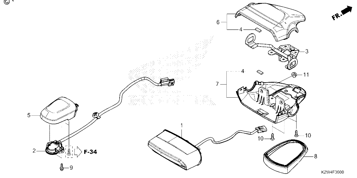 Diagrama de TAILLIGHT LICENSE LIGHT