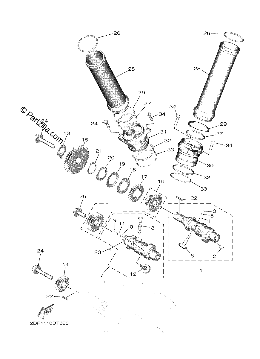 Diagrama de CAMSHAFT CHAIN